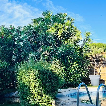 Piscine Cosy, 3 Chambres, 3 Sdb, Havre De Paix A 10 Min Des Plages Mauguio Exteriör bild
