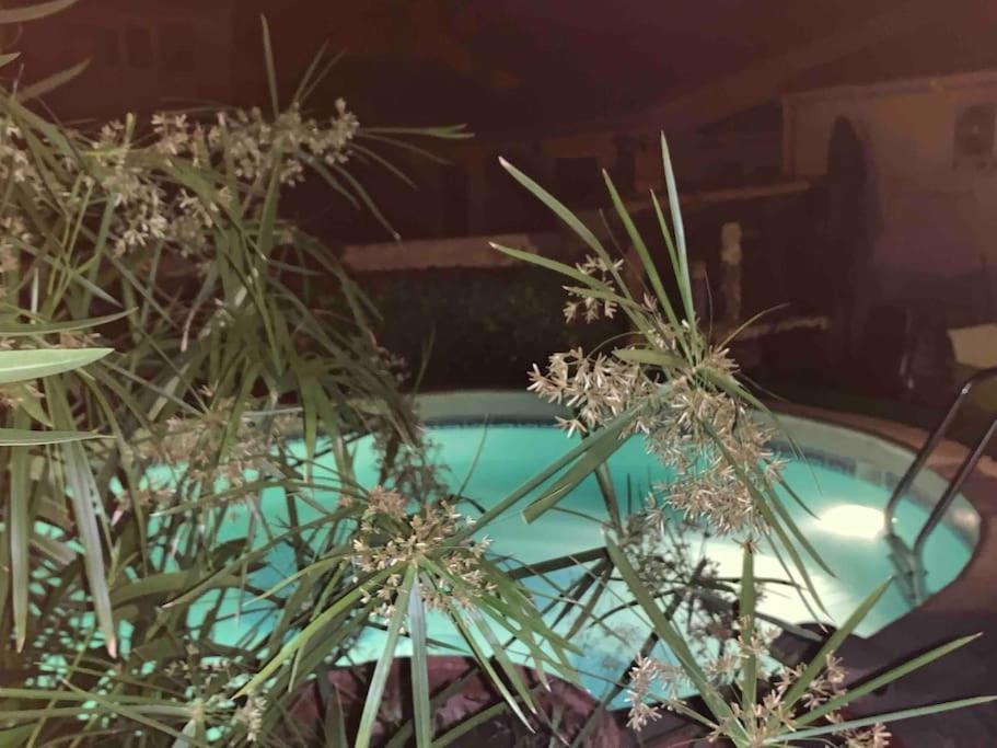 Piscine Cosy, 3 Chambres, 3 Sdb, Havre De Paix A 10 Min Des Plages Mauguio Exteriör bild