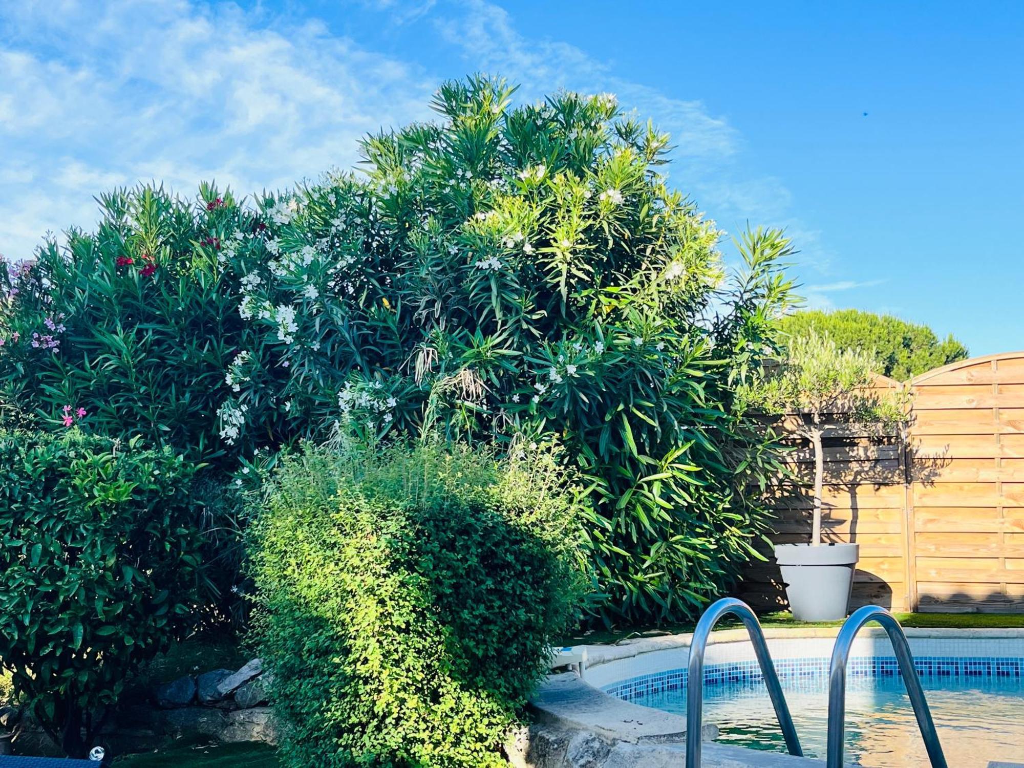 Piscine Cosy, 3 Chambres, 3 Sdb, Havre De Paix A 10 Min Des Plages Mauguio Exteriör bild